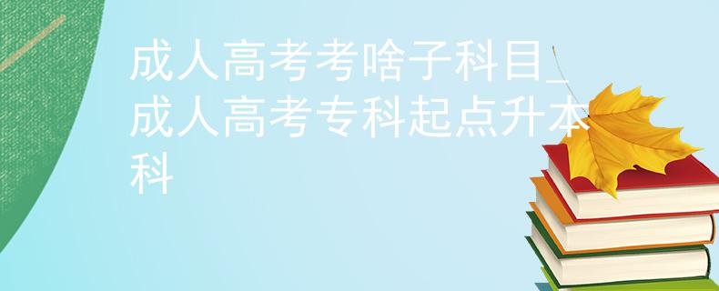 成人高考考啥子科目_成人高考专科起点升本科