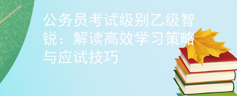 公务员考试级别乙级智锐：解读高效学习策略与应试技巧
