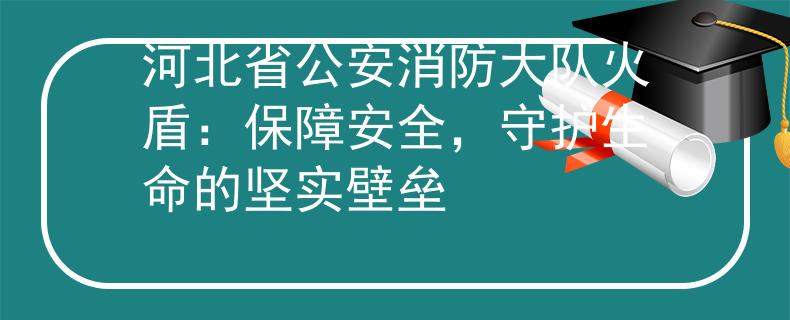 河北省公安消防大队火盾：保障安全，守护生命的坚实壁垒