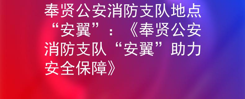 奉贤公安消防支队地点“安翼”：《奉贤公安消防支队“安翼”助力安全保障》