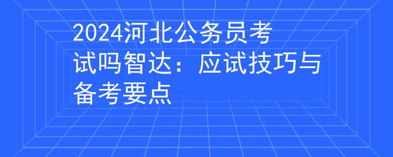 2024河北公务员考试吗智达：应试技巧与备考要点