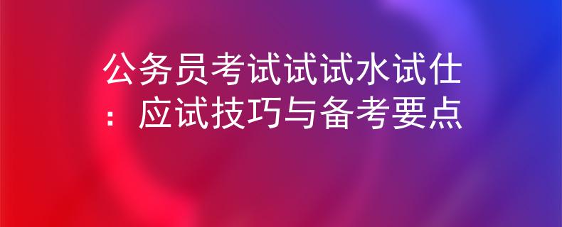 公务员考试试试水试仕：应试技巧与备考要点