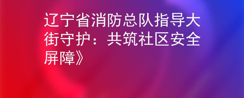 辽宁省消防总队指导大街守护：共筑社区安全屏障》